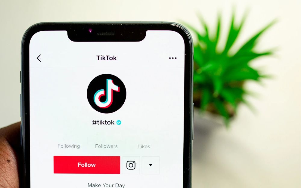 TikTok on a company smartphones and tablets can be a risk.